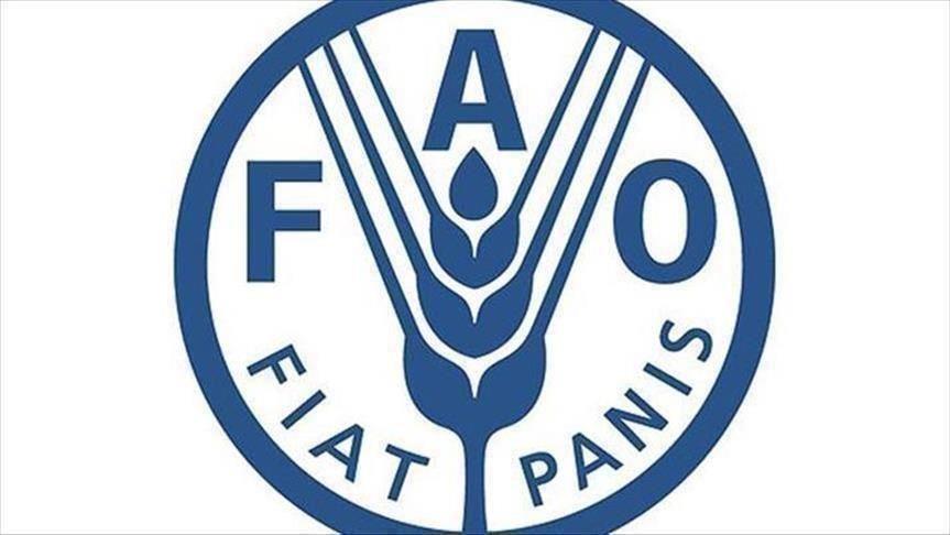 fao