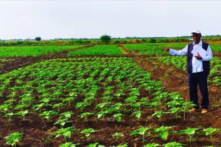 مباحثات سودانية تركية حول التقنيات الزراعية الحديثة