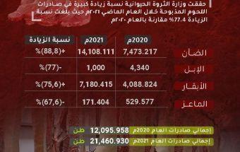 إزدياد صادرات اللحوم السودانيه العام الماضي بنسبة ٧٧.٤٪؜ عن ٢٠٢٠