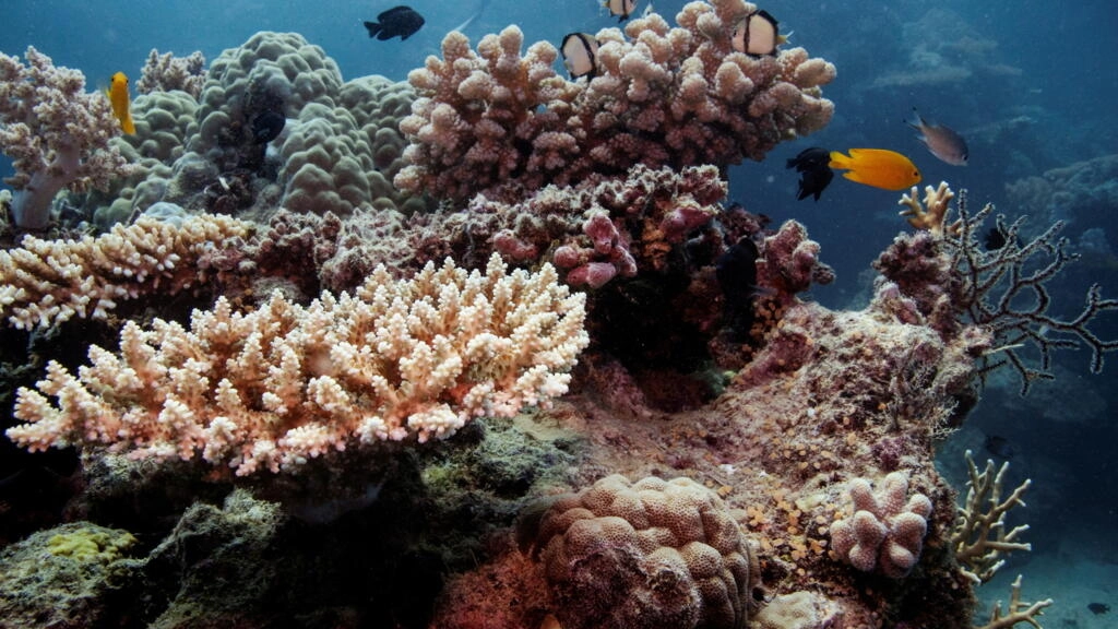 Great Barrier Reef