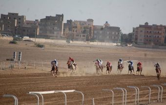 نادي سباق الخيل الخرطوم ينظم سباق رأس السنة