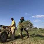 a90bc34eb909d567af320bfe533557ebbe5bc568