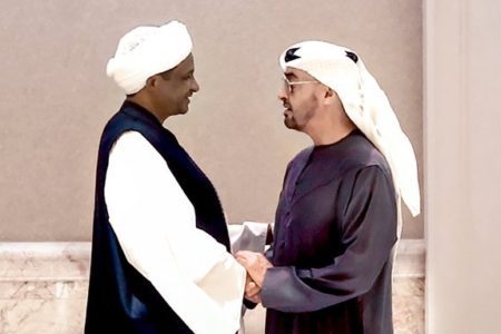 اشمئزاز من المنظمات الانسانية حول دور الامارات في صراع السودان ومطالب اممية بالتحقيق