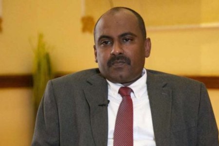 محمد الفكي: الاستجابة الدولية للأوضاع الإنسانية في السودان لا تتناسب مع حجم الكارثة