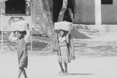 “الماء والغذاء والكرامة” ما يطلبه اللاجئون السودانيون في تشاد (أطباء بلا حدود)