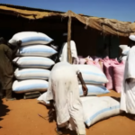 شجرة-المن-سوق-1720008930