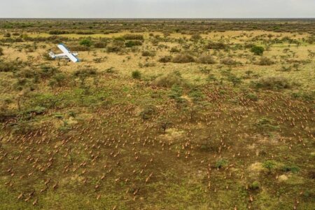 “الإيكونوميست”: جنوب السودان.. أكبر مشروع للحفاظ على الكوكب موجود في أقل الدول نمواً