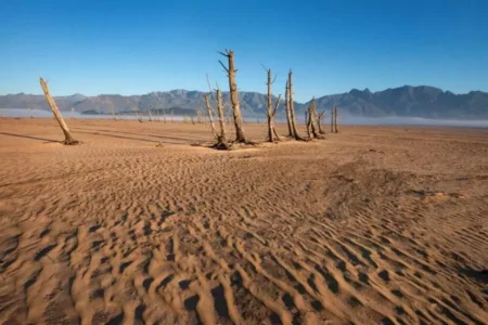 برنامج الأغذية العالمي يحذر من أزمة جوع واسعة النطاق تضرب أفريقيا الجنوبية بسبب الجفاف