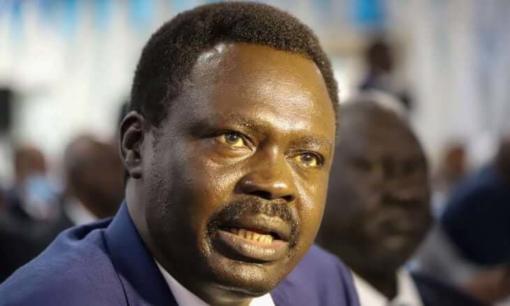 حاكم إقليم دارفور مني أركو مناوي