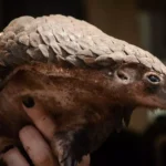 2e76a8bcbf5048f36189846b5f56669f027d3597