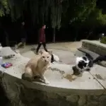 AP25281335959585-1760467783