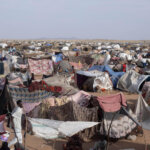 e4c92d7d463c63789f3a0ad650d7575be68087de