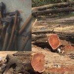 20250722_115320_٠٠٠٠-750×430-185415276