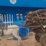 Screenshot-2025-08-22-170800-1140×733-3043092849