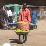 b19996a926a451698264292d44a550715e2a390a